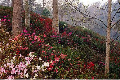 《Slayscape》Steam页面上线 PvPvE卡牌战斗